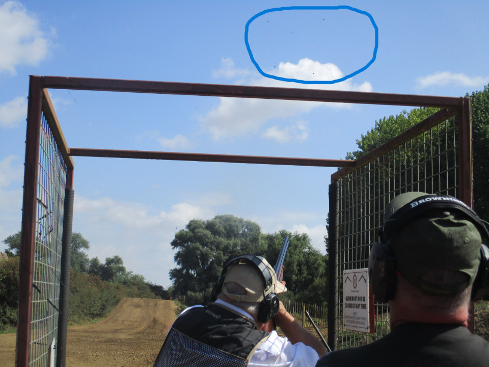 7 Stands,70, 14 traps, 70 birds